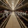 Layer Chicken House Used Automatic Poultry Nipple Drinker