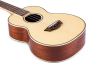 Premium Top Solid Spruce Ukulele with Gig-Bag