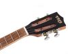 Premium Top Solid Spruce Ukulele with Gig-Bag