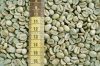 High Quality Arabica coffee Beans/ Robusta Coffee Beans