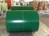 High quality double sides prepainted galvanized steel coil