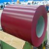 High quality double sides prepainted galvanized steel coil