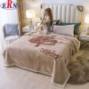 Double Layers Winter Thickened Raschel Blanket Fluffy Heavy Warm Mink Blankets