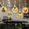 Solar string Light led ball light Outdoor Christmas decoration 