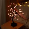 Solar string Light led ball light Outdoor Christmas decoration 