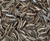 sunflower seeds China origin