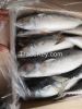 frozen mackerel good price and quality