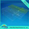 Folding wire Squirrel Cage Trap 