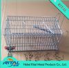 Folding wire Squirrel Cage Trap 