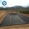 HDPE Geomembrane for lake,fish pond 