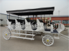 Sightseeing Marathon Horse Carriage With Canopy