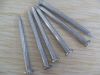 Galvanized Concrete Nails