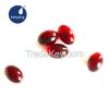 Krill Oil Softgel Capsule 500mg