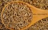 Paspalum Seed Ginseng ...