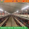 Poultry Broiler cage