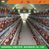 Poultry layer cage