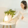 Fast Wireless Charging Tree Desk Lamp for mobile phone