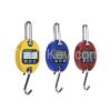 Industrial  Hook Mini Crane Digital  Scale 500kg