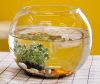Glass Fish Bowl