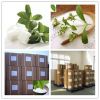 High Quality Stevia Powder