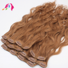  Clip in Remy Hair  extensions