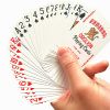 JP064 Manufacturer Supplier Cheap 3005 Lion Playing Cards