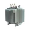 Oil-immersed distribution transformer