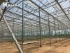 Greenhouse Diffuse Gla...