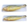 China Origin Frozen Yellow Croaker Fish Maw