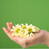 [NPEP] Original Botanic Anti Hairloss Treatment Pro Edition by Oriental Herb