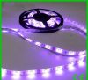 LED Strips