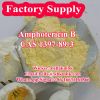 Antifungal Drug Amphotericin B 1397-89-3 with Safe Delivery