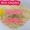 Antifungal Drug Amphotericin B 1397-89-3 with Safe Delivery