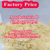 Antifungal Drug Amphotericin B 1397-89-3 with Safe Delivery