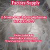 Antifungal Drug Amphotericin B 1397-89-3 with Safe Delivery