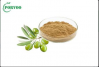 Olive Leaf Extract