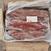 Chinese loligo squid,frozen on board