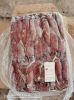 Chinese loligo squid,frozen on board