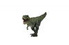 T-Rex Action Figure