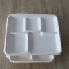 Biodegradable Food Packaging Tray Disposable Product Trays for Restaurants