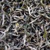 Organic Green Tea #2, silver silk, Yunnan tea