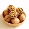 Factory supply Bulk lowest price New High Quality Pure Natural thin Skin inshell 185 Walnuts