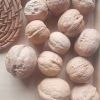 Factory supply Bulk lowest price New High Quality Pure Natural thin Skin inshell 185 Walnuts