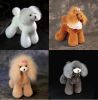 Grooming Model dog For...