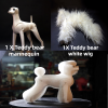 Grooming Model dog For...
