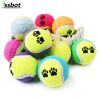 Dog Tennis Ball