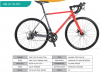 700C*25C-Road Bicycle ...