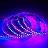 Living room decoration Remote control lighting DC12V 5050 SMD digital smart RGB 144 led strip for home