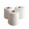 high tenacity raw white 100% spun polyester yarn on paper cone with various counts