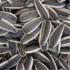  High Quality Black Sunflower Seeds 361  Chinese